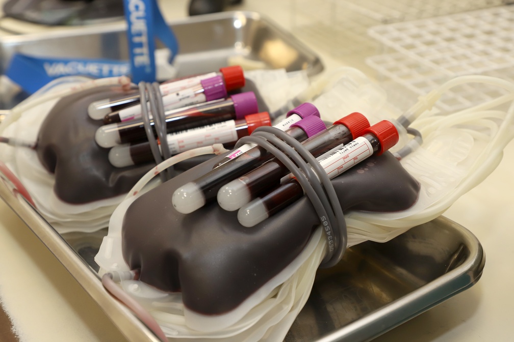 A doação de sangue pelos funcionários municipais é uma das ações do programa SerSol