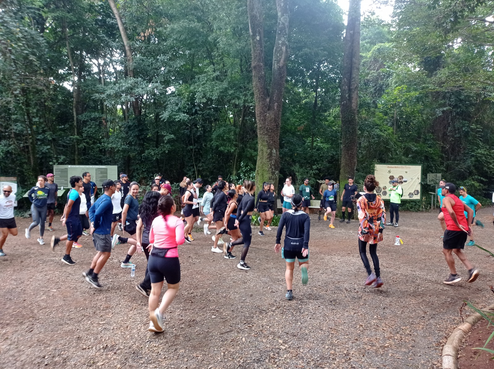 A ação foi promovida pela Fundação José Pedro de Oliveira (FJPO), responsável pela gestão da ARIE Mata de Santa Genebra