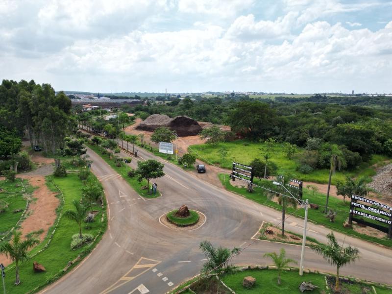 Por seu tamanho, as toras não eram aproveitáveis para a Usina Verde