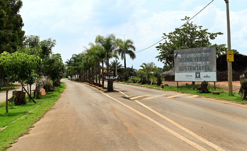 A madeira é ideal para uso da construção civil