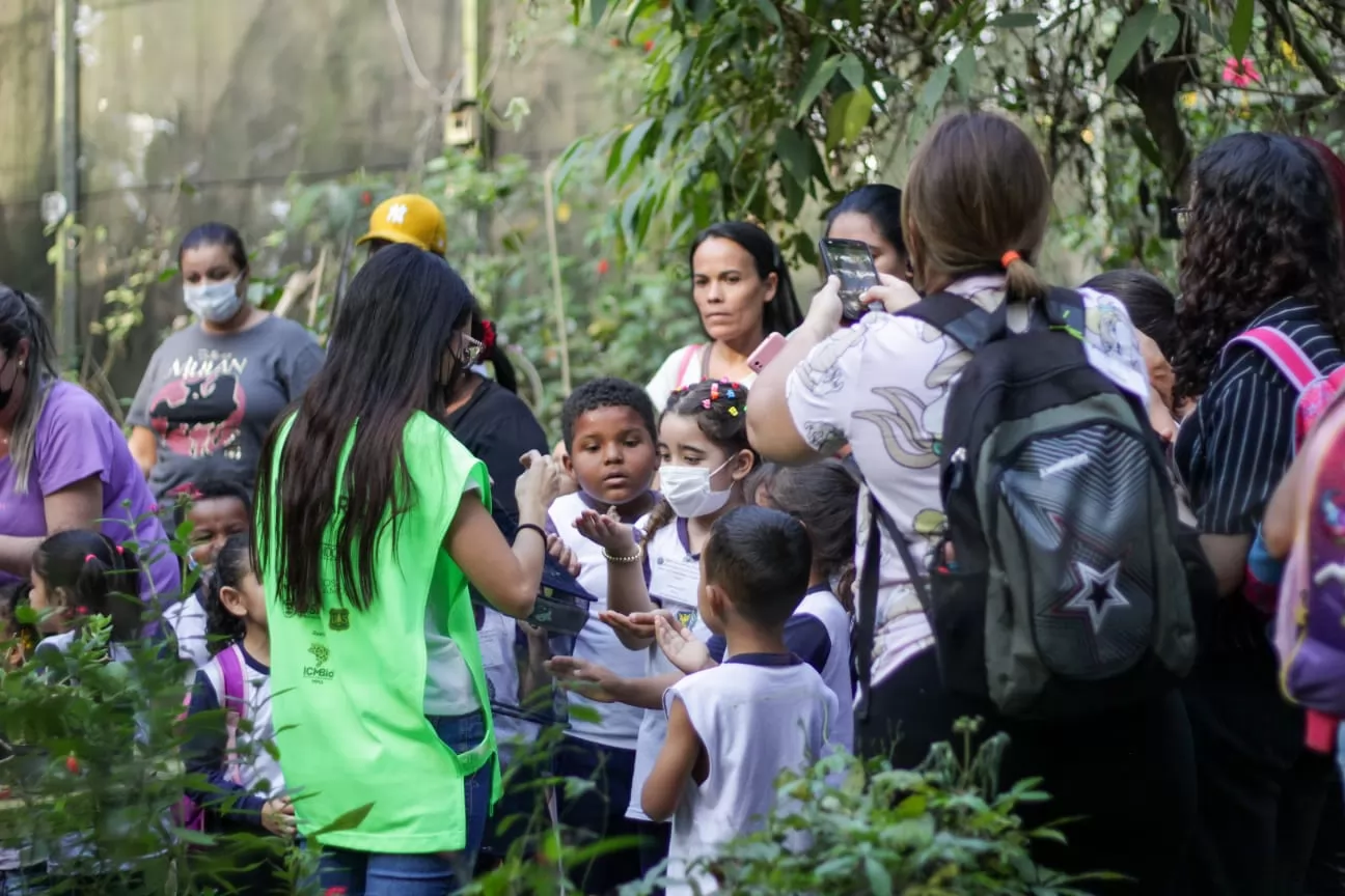 As visitas são monitoradas e gratuitas; primeiro grupo está previsto para o dia 14 de agosto