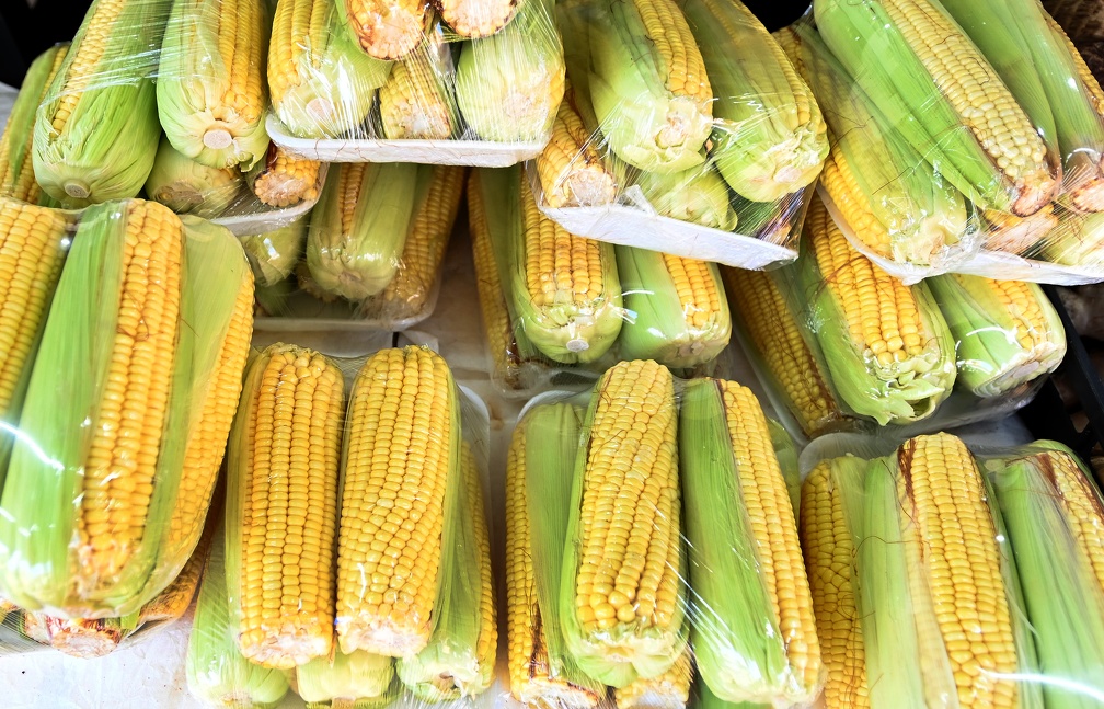 foto de espigas de milho embaladas em plástico transparente