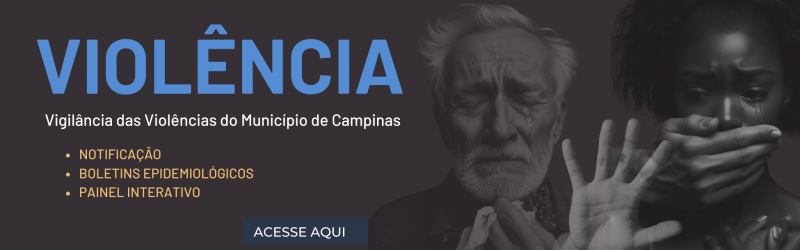 Vigilância das Violências do Município de Campinas